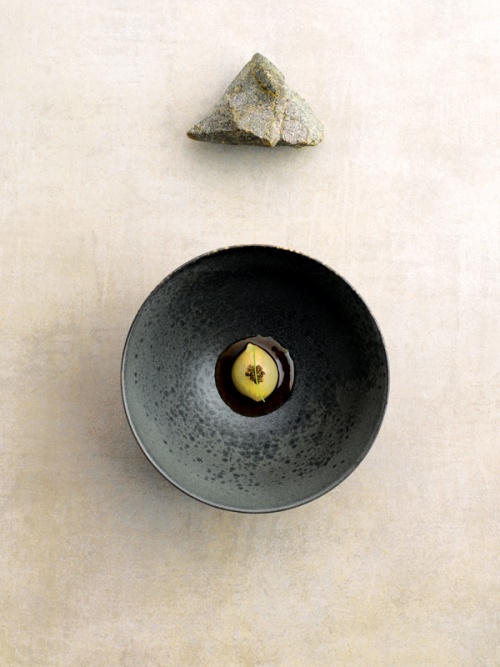 A visual from Chef André Chiang’s cook book (Photo by Photo Edmond Ho for Octaphilosophy: The Eight Elements of Restaurant André by André Chiang, Phaidon 2016)